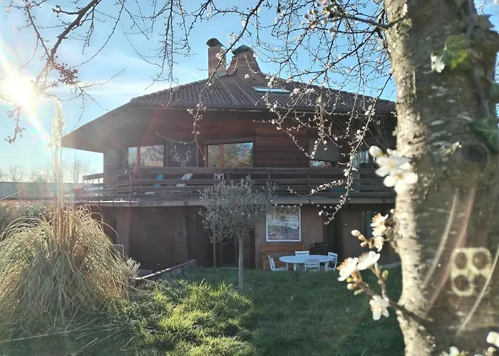 Alvéole du Léman - Appartement Le Nid du Chat Noir