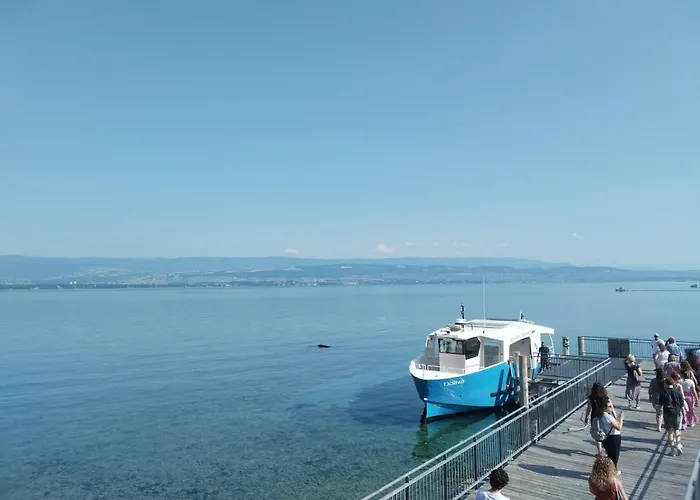 Alvéole du Léman - Appartement Le Nid du Chat Noir