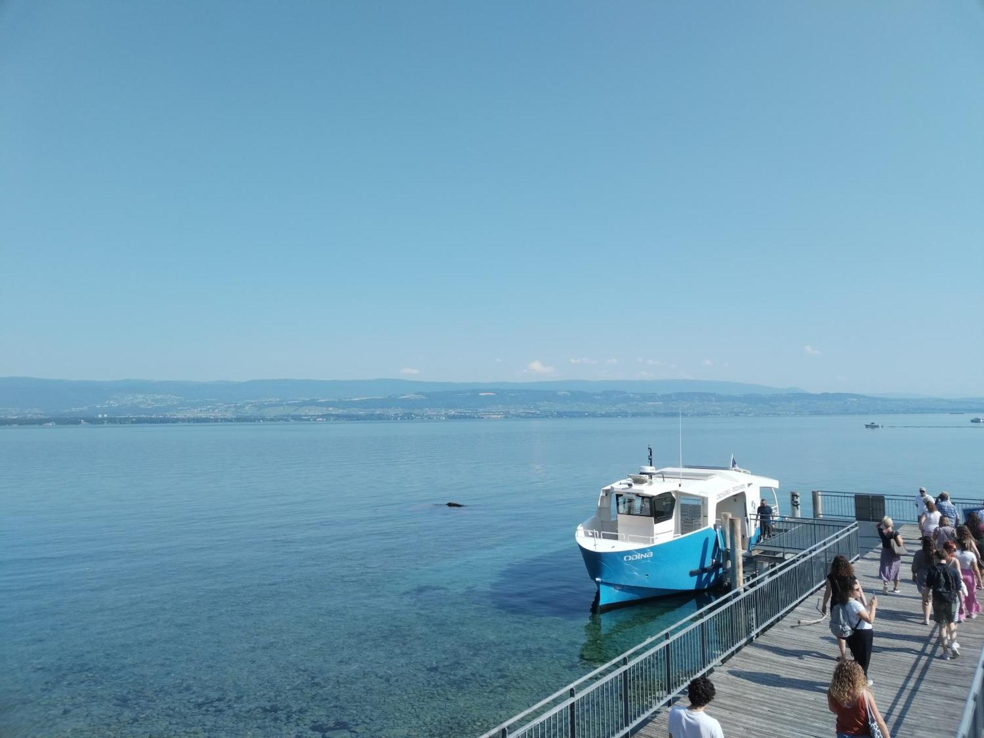 Appartement Alvéole Du Léman - Le Nid Du Noir *